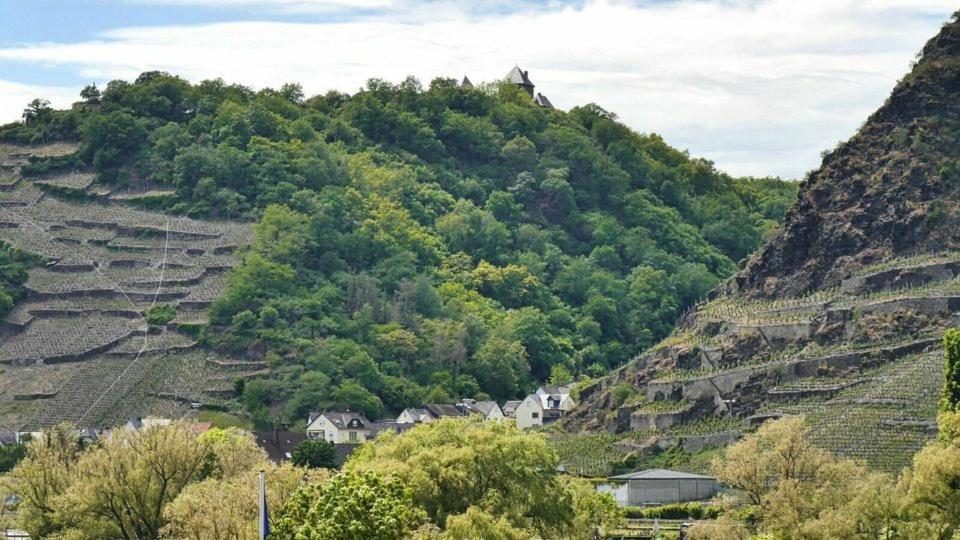 Apartment An Der Mosel *