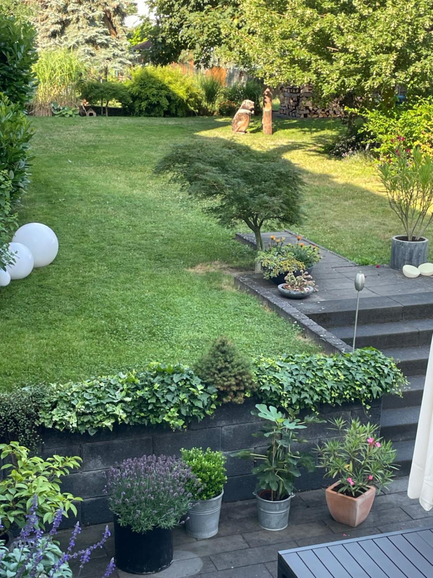 An Der Mosel Apartment Dieblich